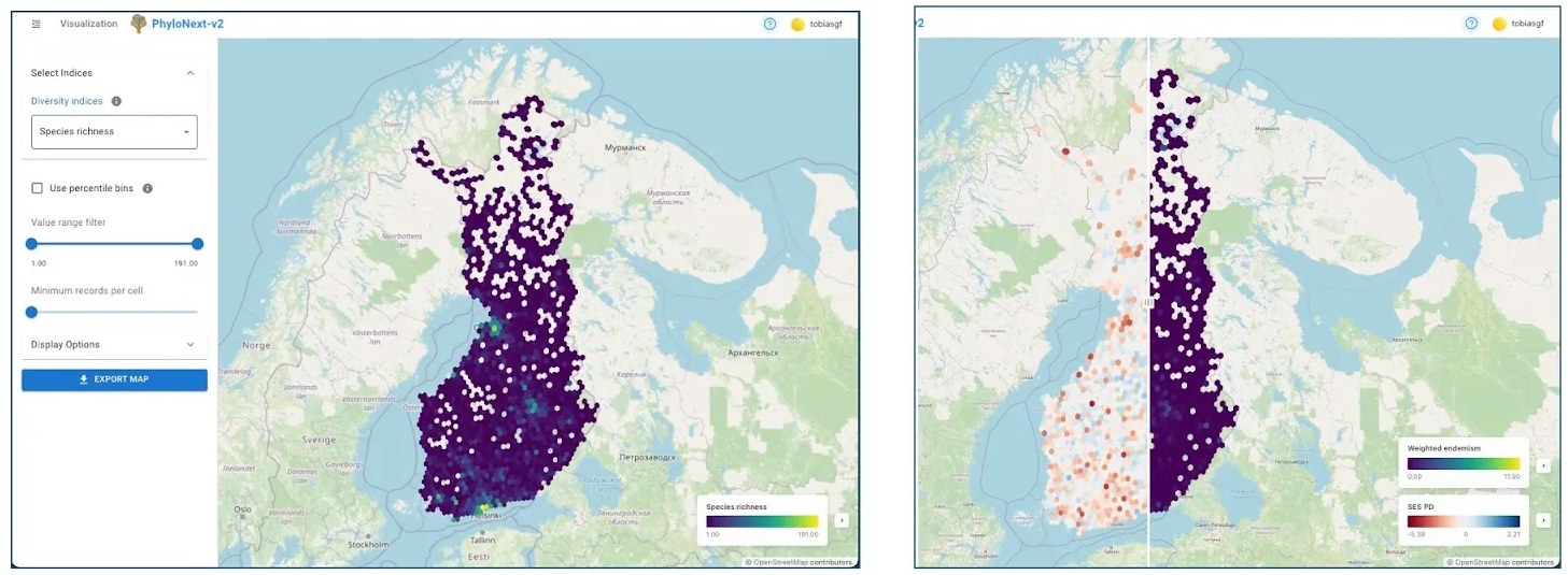 Results visualization